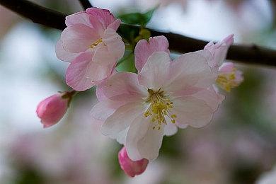 《星球大战》两款合集10月登陆PS4 11月登陆Switch